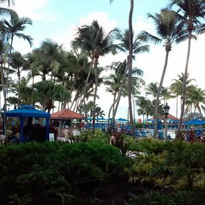 Meet your Posher, Joanne